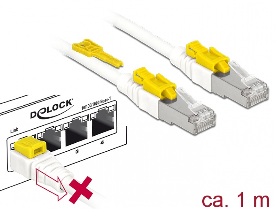 Cablu RJ45 Cat 6A 1m cu Blocare Delock