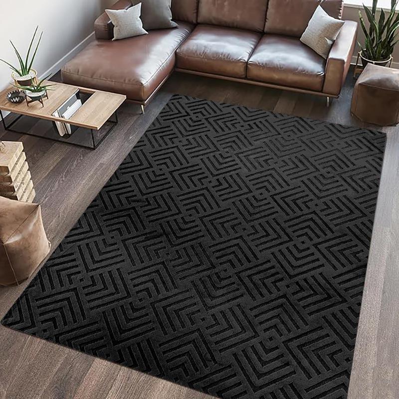 Covor Blanita Dover 200x300 cm Negru - Elegant și Rezistent