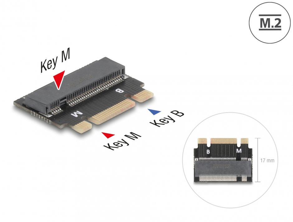 Adaptor M.2 B+M la M, Delock 64342