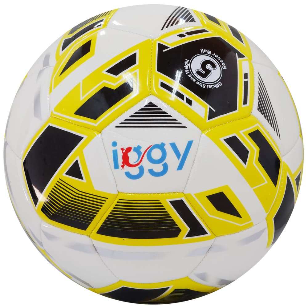 Minge Fotbal Iggy IGFB-PRO 5, PU, Cusută