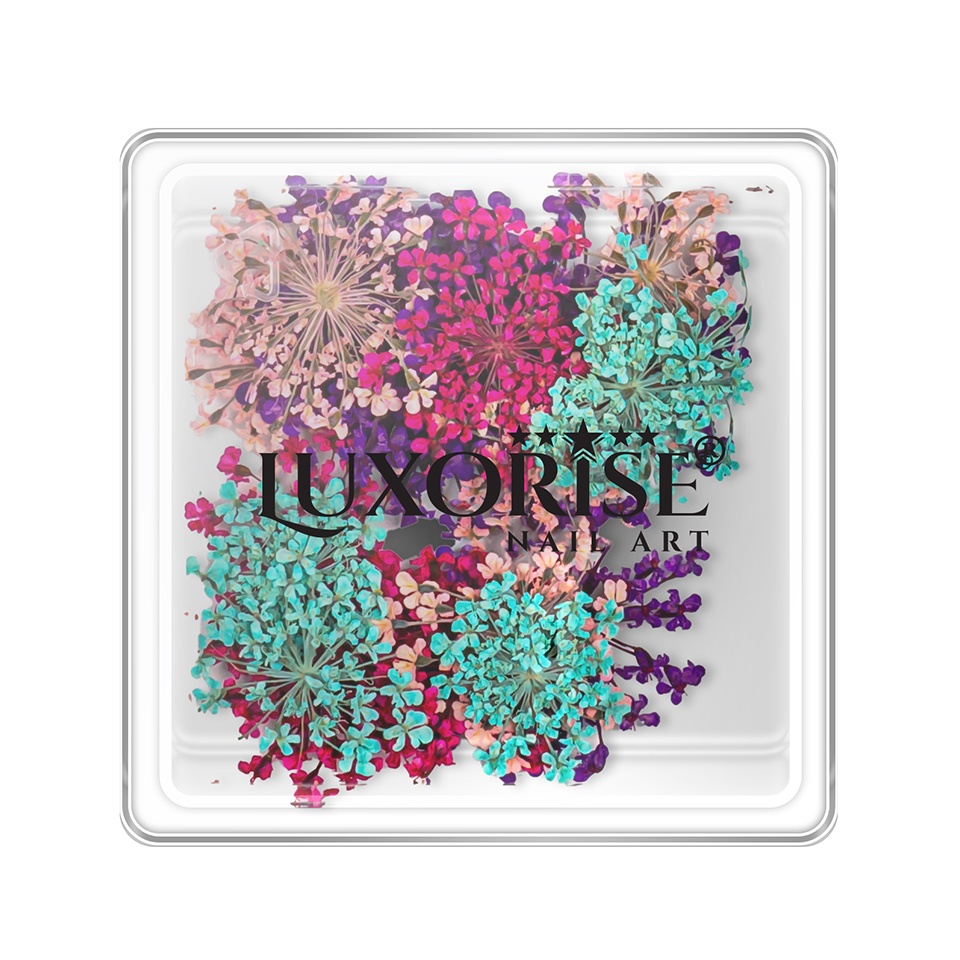Flori Uscate Unghii LUXORISE Flowers Spice - Manichiură Naturală