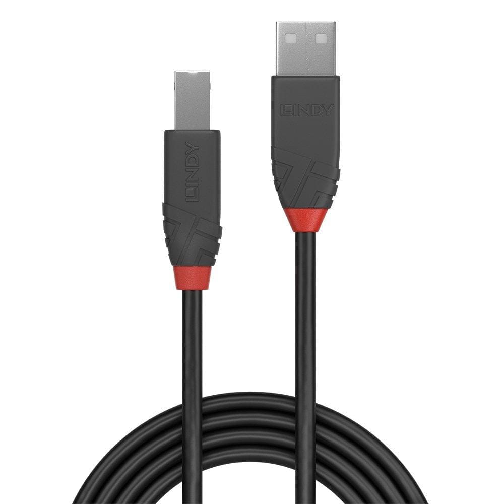Cablu LINDY USB 2.0 Type A-B, 2m, anthracite - imagine 4