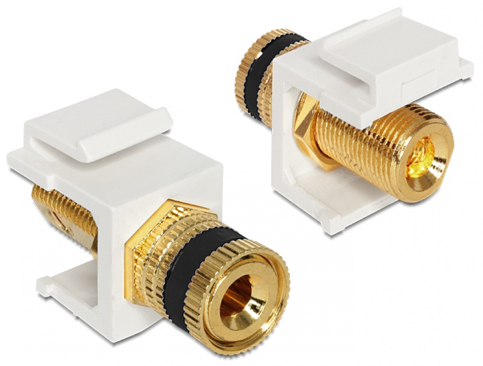 Modul Keystone Delock 86303 pentru Cablu Difuzor