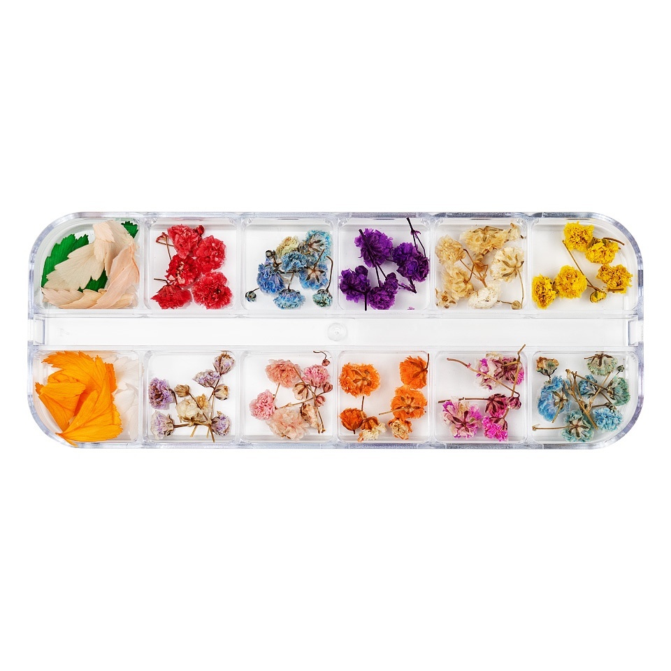 Flori Uscate Unghii LUXORISE Rainbow Bloom - imagine 2
