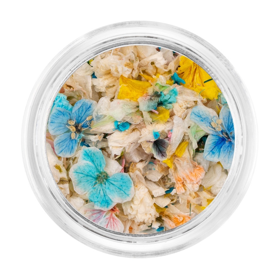 Flori Uscate Unghii LUXORISE Pastel Vibe - Decor Manichiura