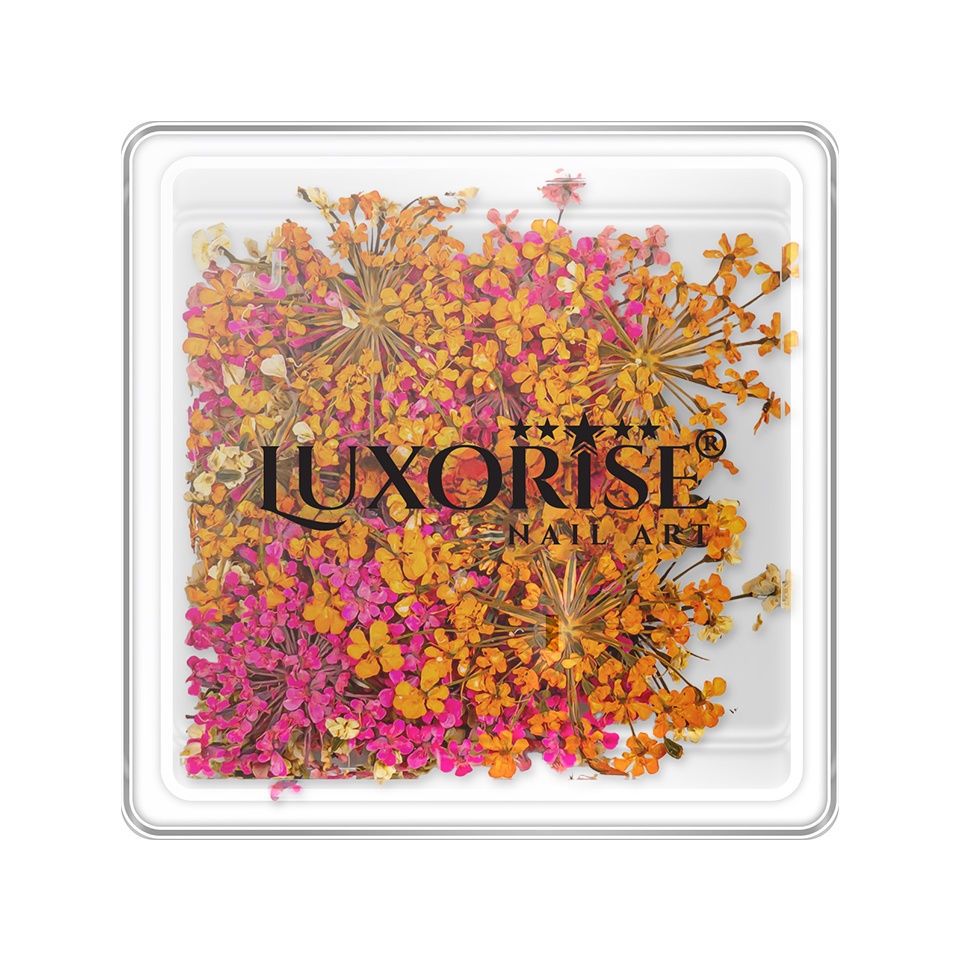 Flori Uscate Unghii Luxorise - Secret Blossom