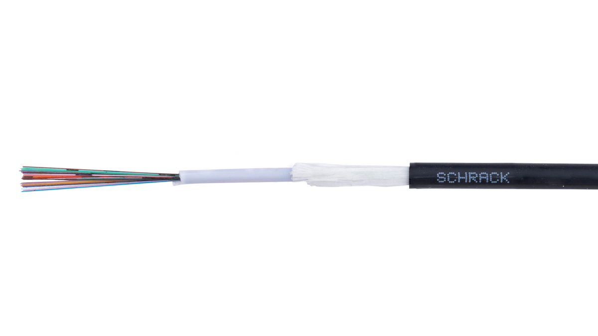 Fibra Optica Schrack 12F 100M LSOH