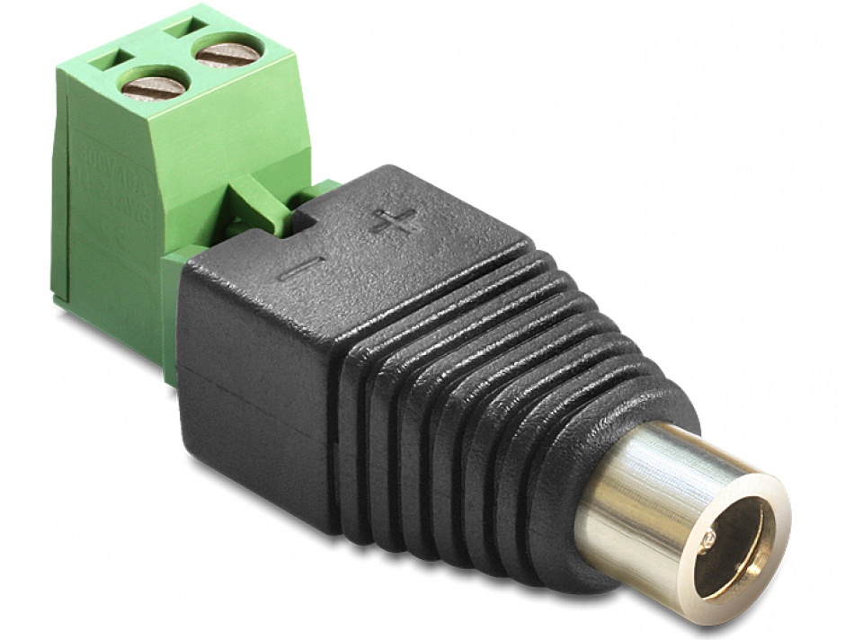 Adaptor DC 2.1x5.5mm Delock la Terminal 2 Pini