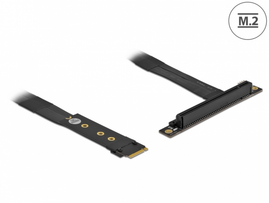 Adaptor M.2 la PCIe x16 Delock 20cm NVMe