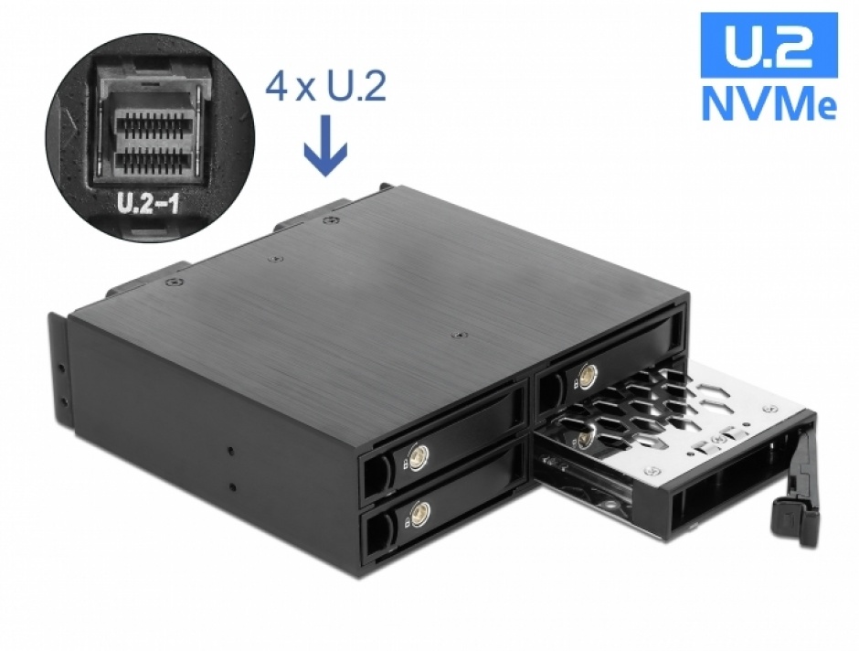Rack Mobil Delock 4x U.2 NVMe SSD