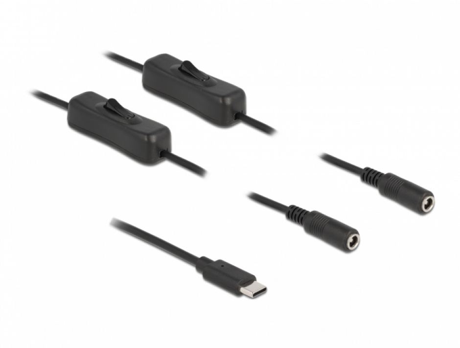 Cablu USB-C la 2xDC cu Switch Delock 1m