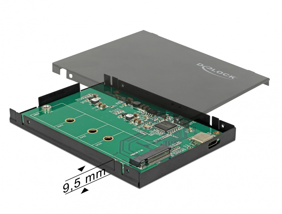 Delock Rack Extern M.2 NVMe USB-C 3.1