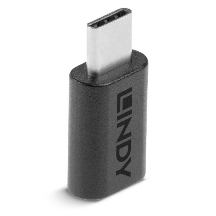Adaptor USB C Lindy, 20Gbps, Protecție Port