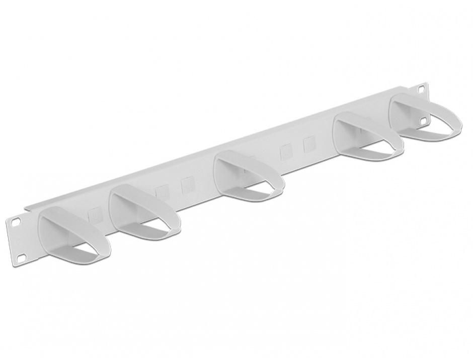 Organizator Cabluri 19" Delock, Inele Orizontale/Verticale