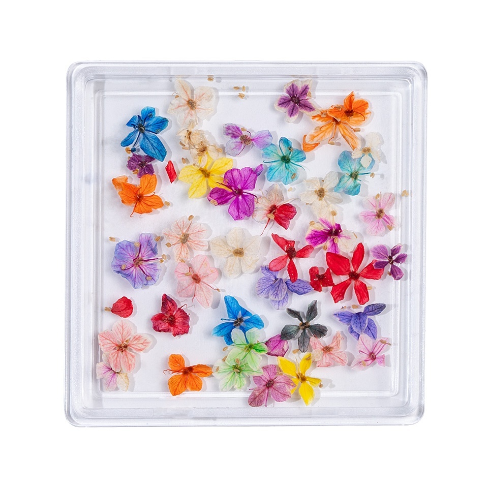 Flori Uscate Unghii Luxorise Rainbow