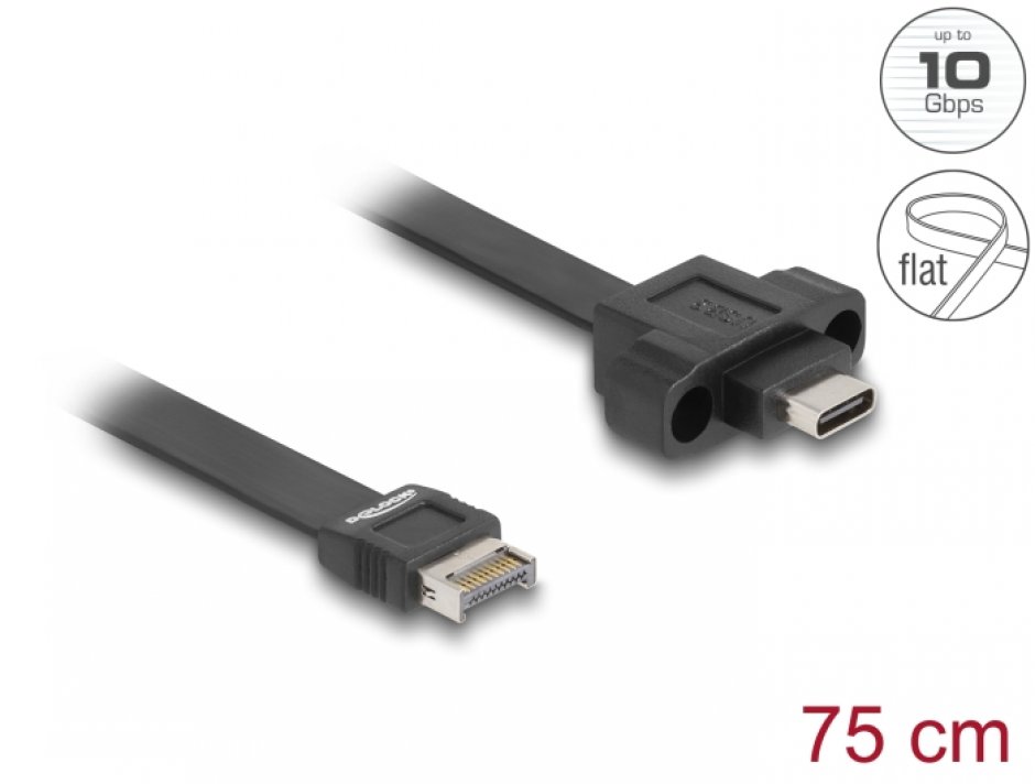 Cablu Delock USB E Key la Type-C, 75cm