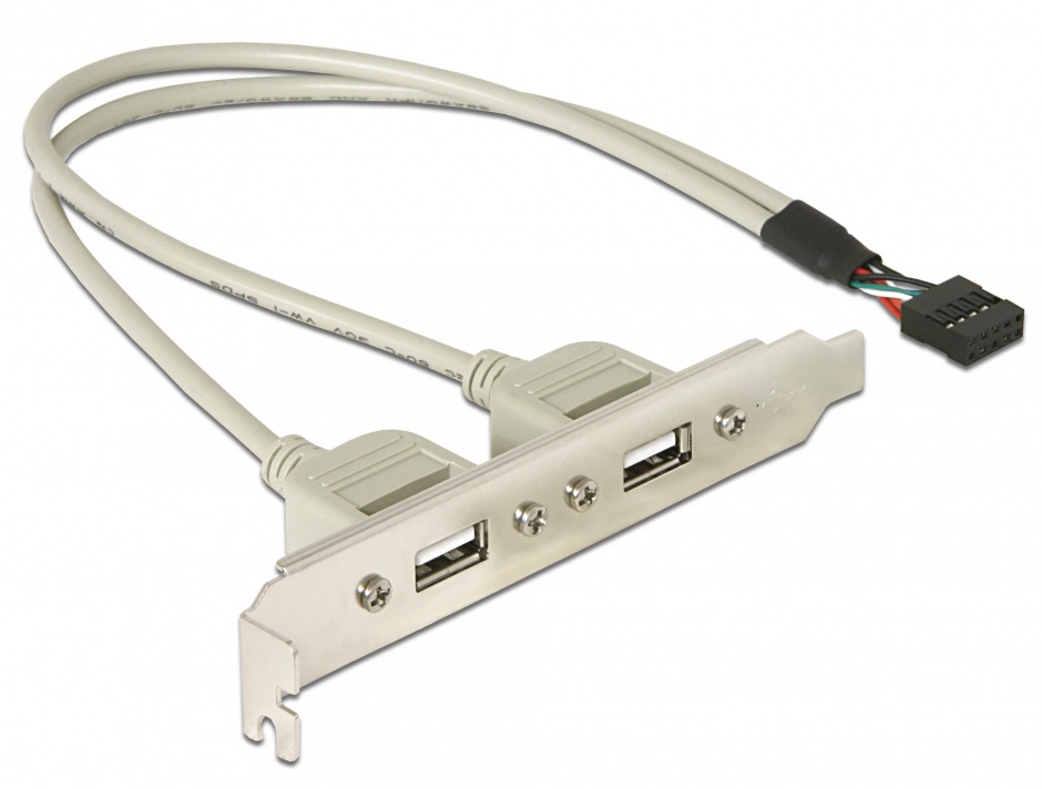 Bracket Delock 2x USB 2.0, Slot PC