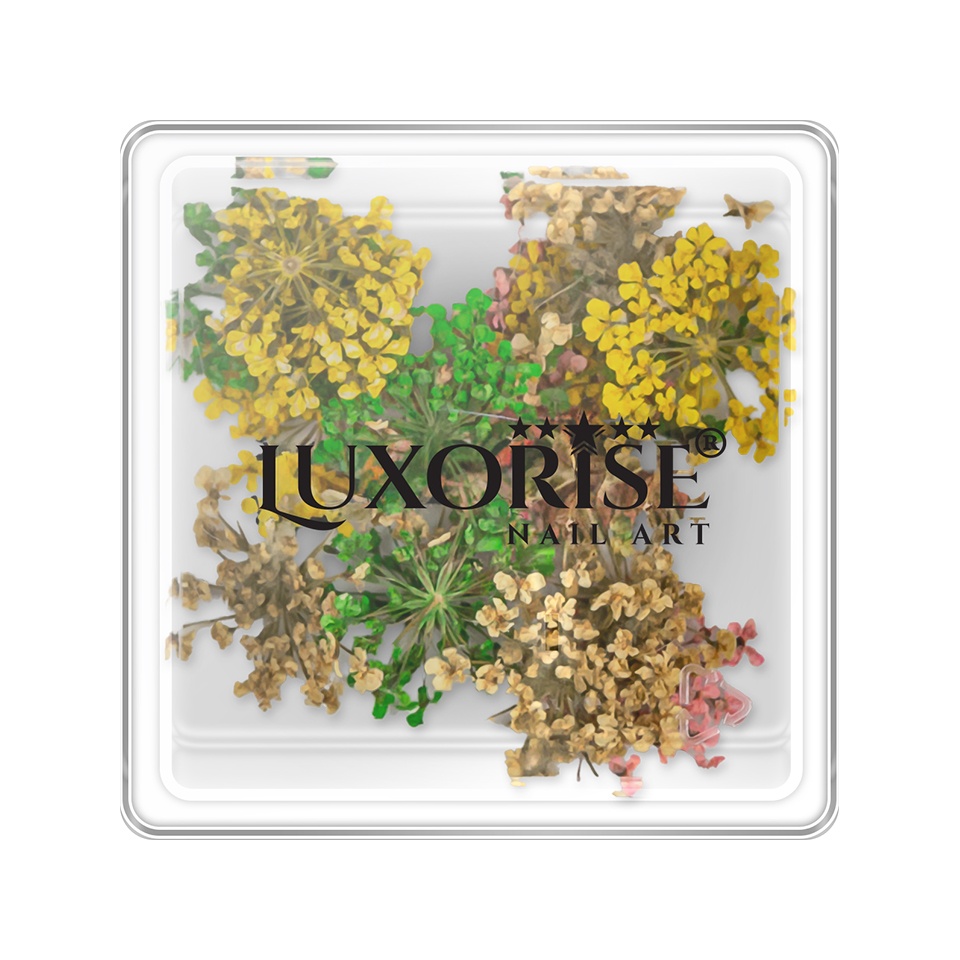 Flori Uscate Unghii LUXORISE Mirage Meadow, design natural