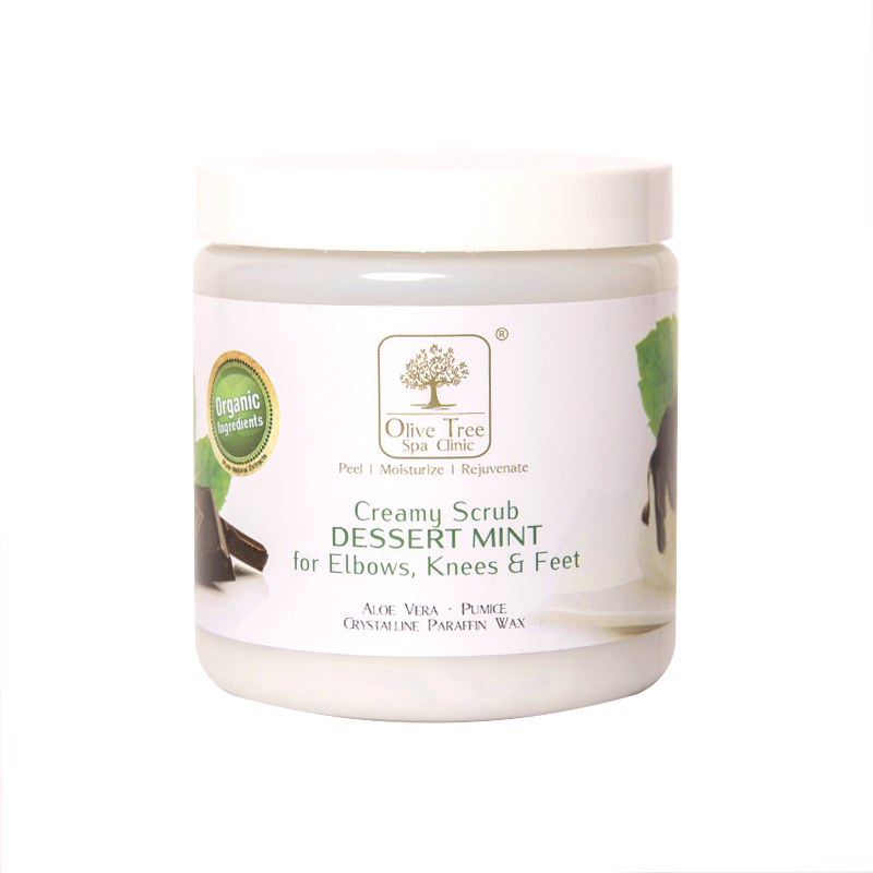 Pedicure Spa Scrub Desert Mint Nailshop 400gr