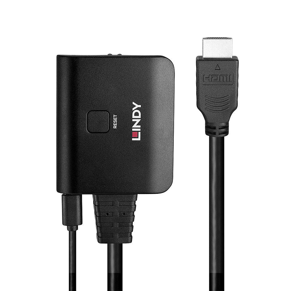 Cablu Lindy HDMI 4K60 2 Porturi 18Gbps 50cm Negru - imagine 3