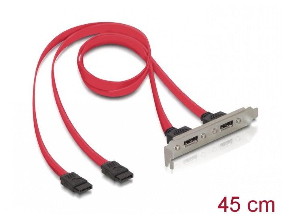 Bracket Delock 2x SATA la eSATA
