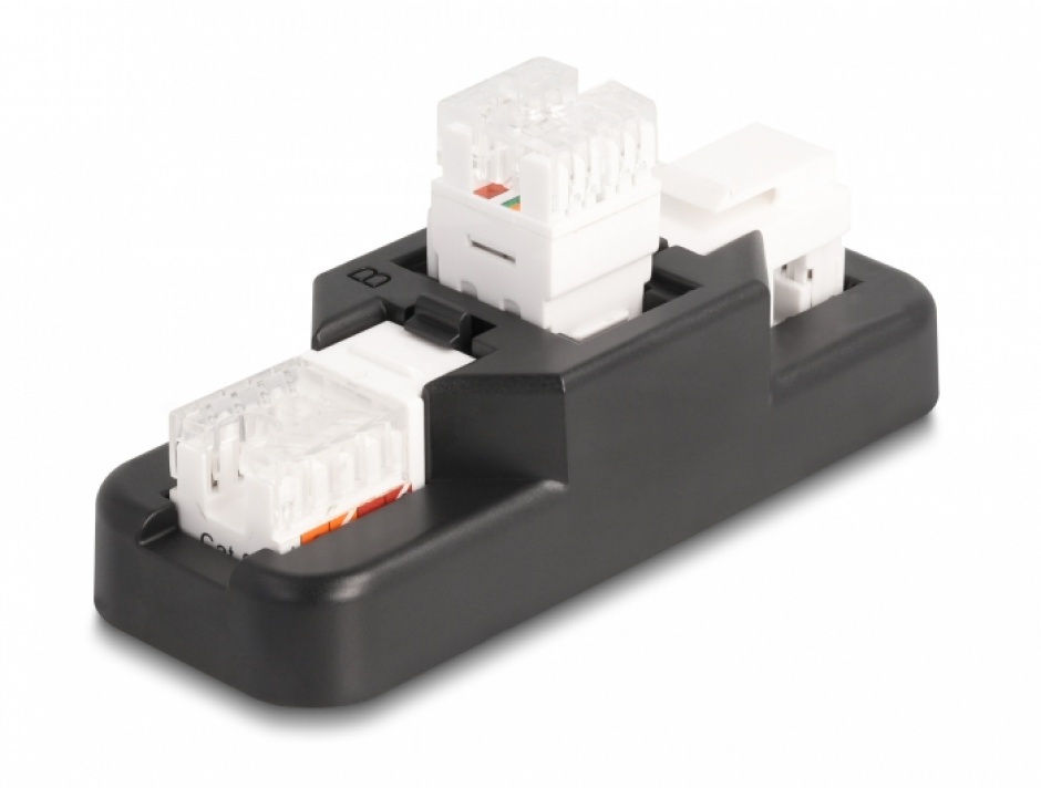 Set Keystone LSA Cat.6 cu Suport Delock 87104