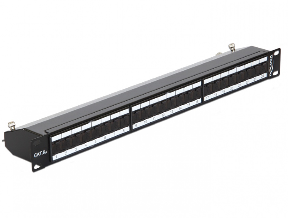 Patch Panel 19" 24 Porturi Cat.6A Ecranat Delock - imagine 1