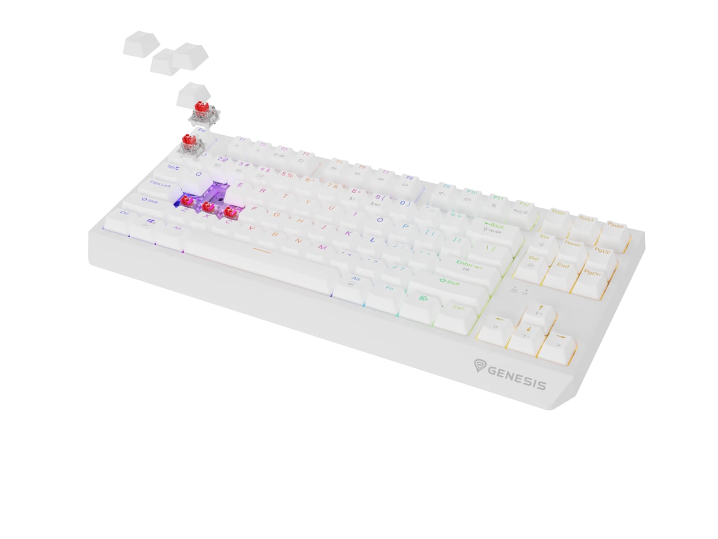 Tastatura Gaming Wireless Genesis Thor 230 TKL RGB Alb - imagine 3