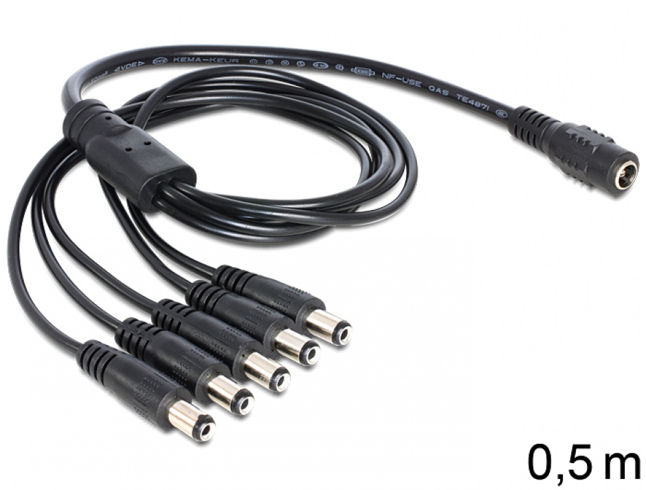 Cablu DC Splitter Delock 1x5.5mm la 5x2.1mm