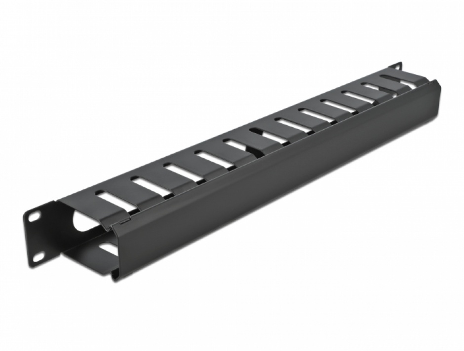 Organizator Cabluri 1U Delock 66550
