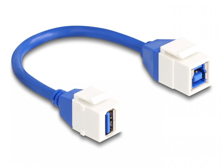 Modul Keystone USB 3.2 Delock 0.2m