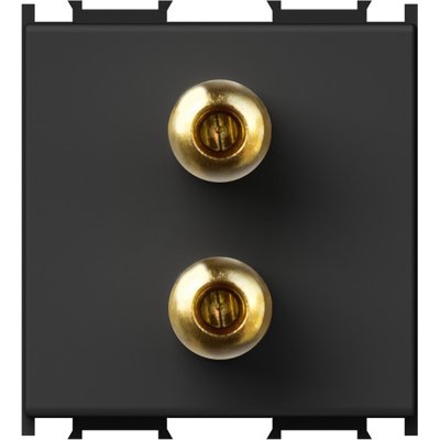 Modul Audio TEM 2M - Conectare Loudspeakers