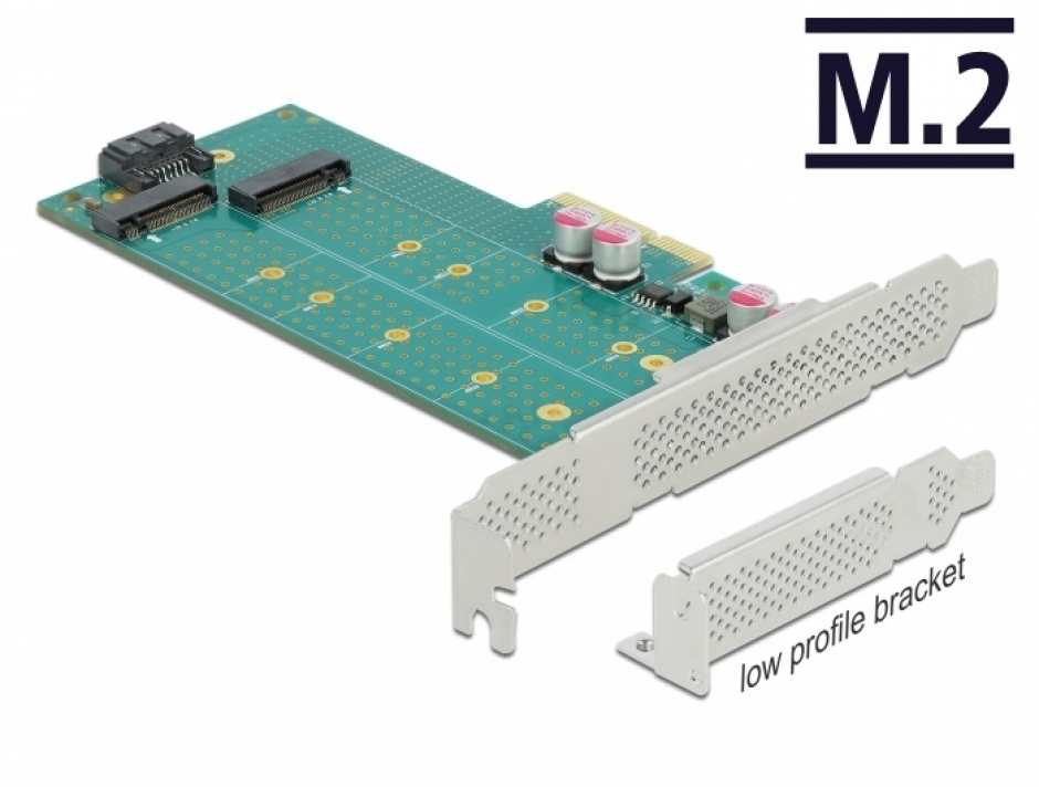 Placă PCI-E Dual M.2 Delock 89047