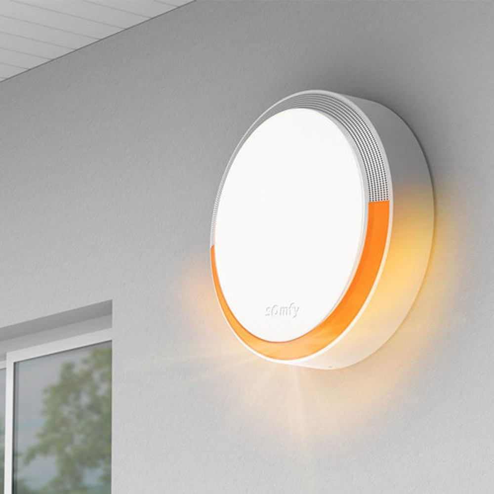 Sirena Exterior Somfy 112dB IP43 Securitate - imagine 3