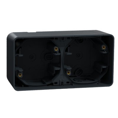 Doza Mureva Schneider MUR37914 2 posturi IP55 orizontală