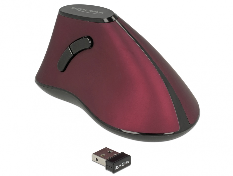 Mouse Vertical Ergonomic Wireless Delock 12528