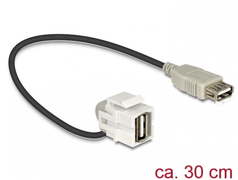 Modul Keystone USB 2.0 Mama 110° Delock 86327