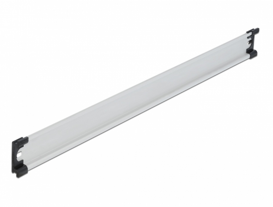 Sina DIN Aluminiu 35mm Delock 50cm