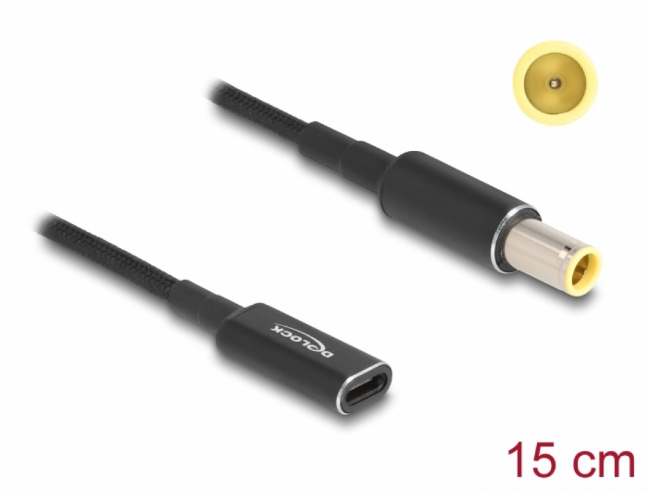 Adaptor USB-C la IBM 7.9mm Delock 60041