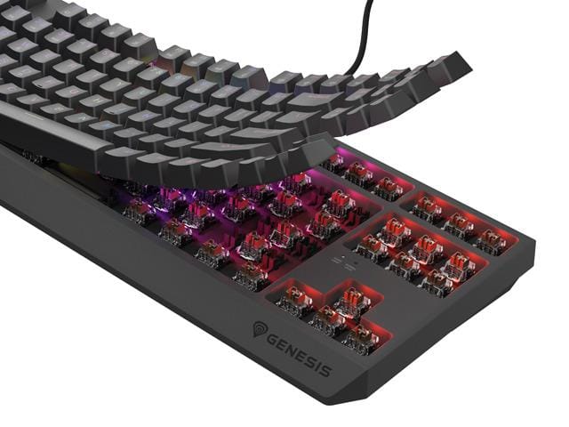 Tastatura Gaming Mecanica Genesis Thor 230 TKL RGB Outemu Brown - imagine 8