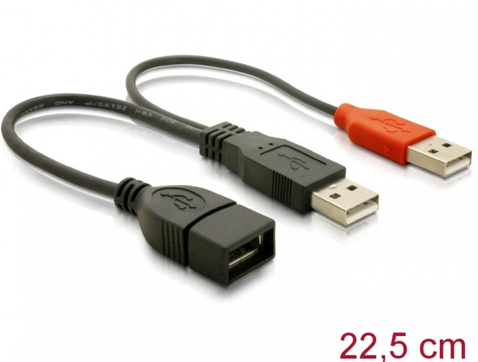 Cablu USB 2.0 Y Delock, Date+Alimentare, 22cm