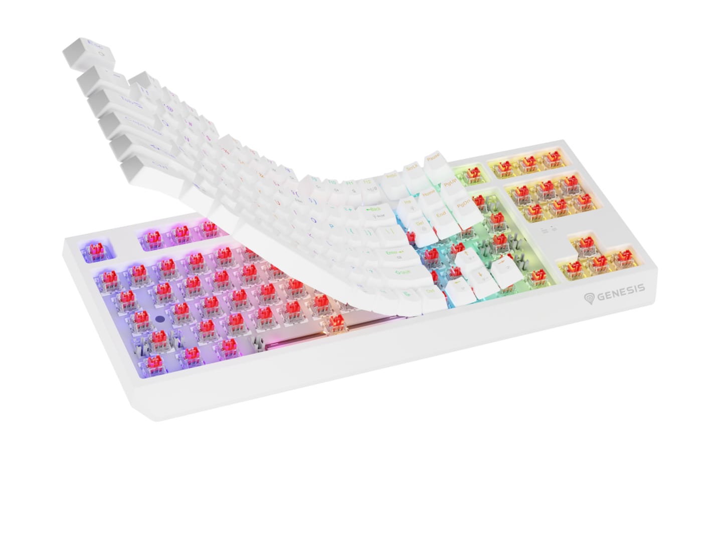 Tastatura Gaming Wireless Genesis Thor 230 TKL RGB Alb - imagine 11