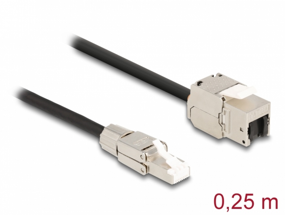 Cablu Patch Delock Cat.6A 0.25m SFTP
