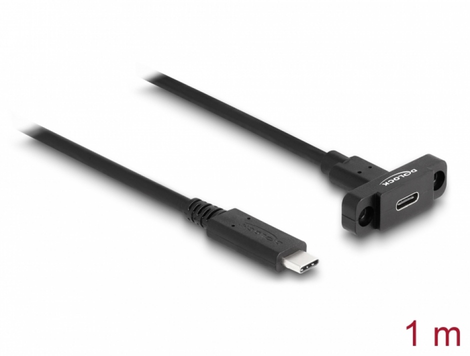 Cablu USB 3.2 Gen2 Type-C 1m Montare Panou Delock