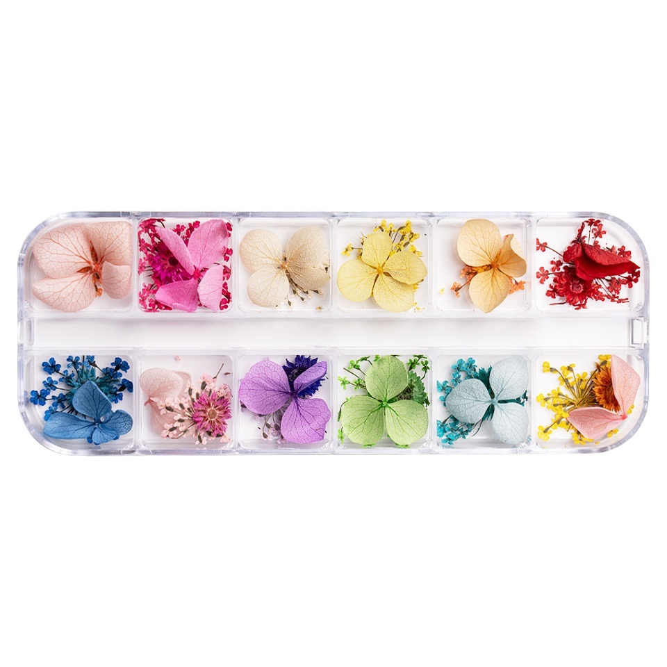 Flori Uscate Unghii Luxorise - 12 Modele