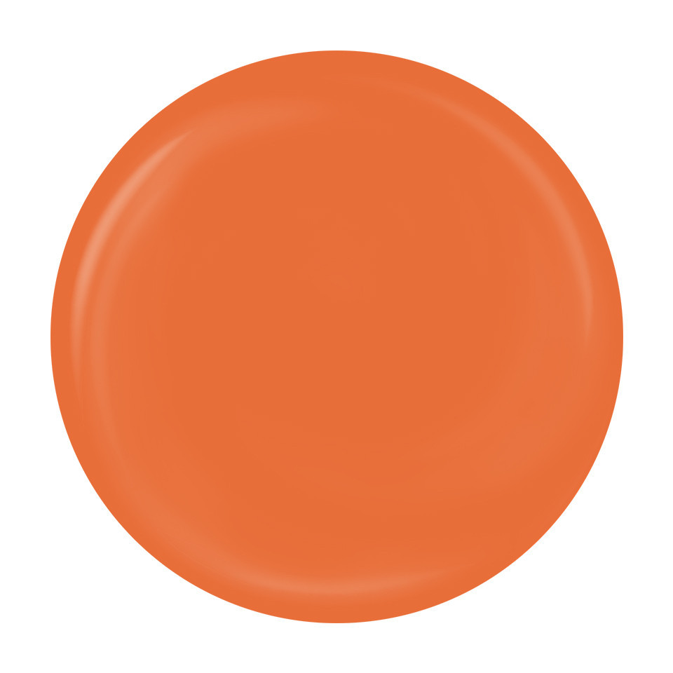 Gel Pictura Unghii LUXORISE Perfect Line Orange 5ml
