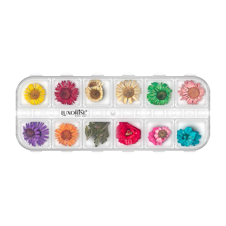 Flori Uscate Unghii LUXORISE - Flower Dream, 12 Modele