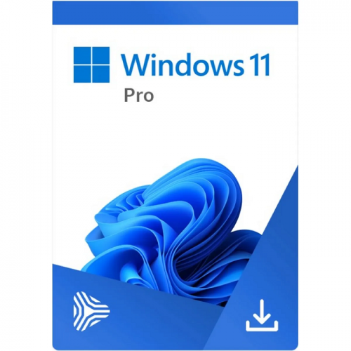 Windows 11 Pro: Instalare Profesională + Licență