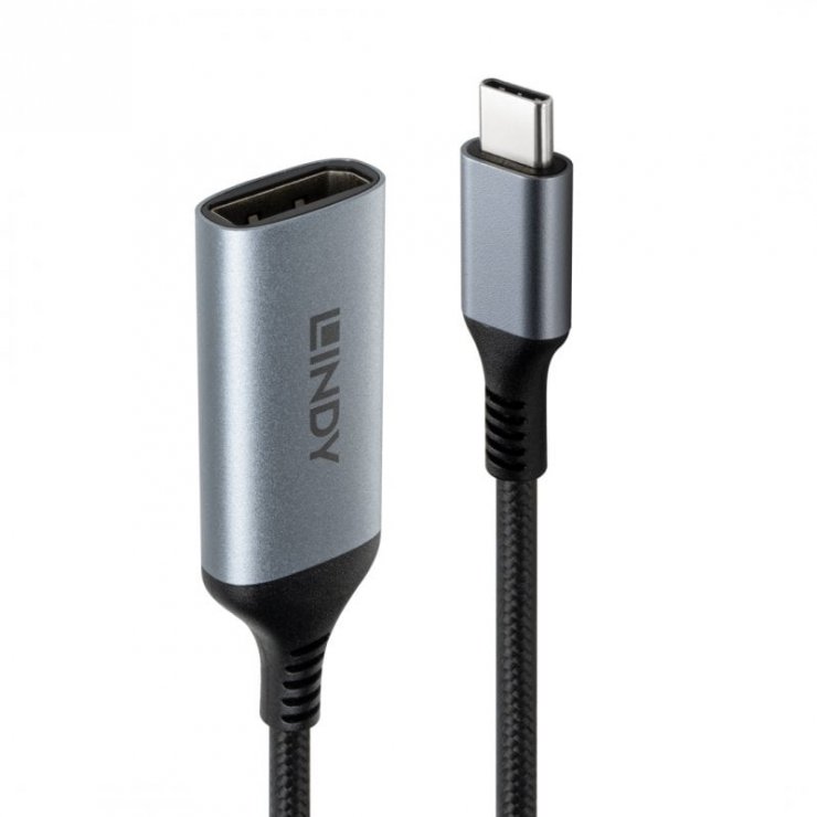 Adaptor USB-C la DisplayPort 8K Lindy L43426