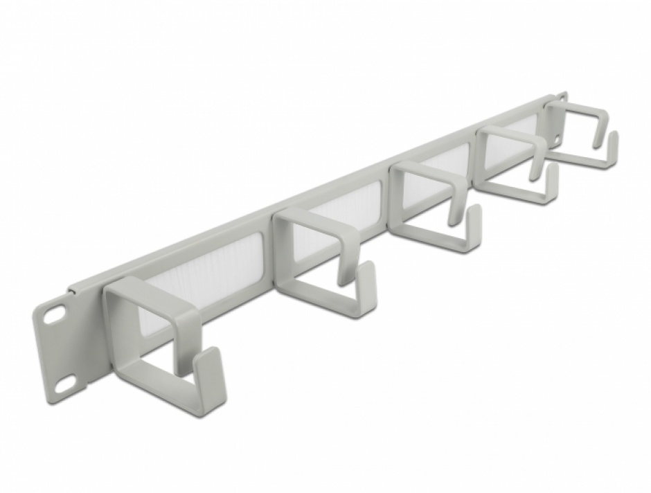 Organizator Cabluri 19" 1U Delock cu Peri